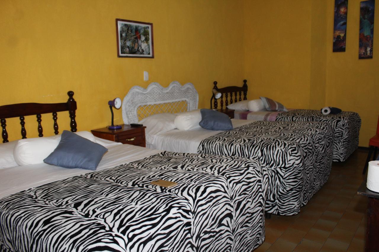Hotel Casa Del Viajero 克萨尔特南戈 外观 照片